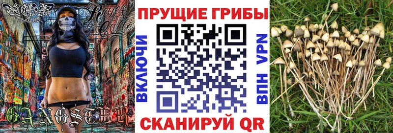 Галлюциногенные грибы прущие грибы  Ялта 